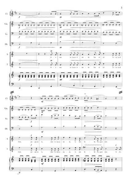 Rafael Martínez-Valls: Evocació al Pirineu (Cançó d'amor i de guerra) – arranged for voices and ensemble by Santi Escura (NXP125)