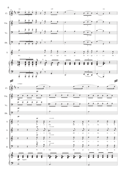 Rafael Martínez-Valls: Evocació al Pirineu (Cançó d'amor i de guerra) – arranged for voices and ensemble by Santi Escura (NXP125)