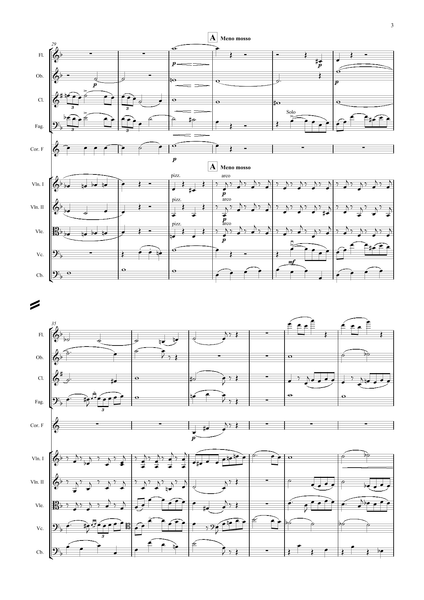 Wieniawski, Henryk: Violin Concerto No. 2 in D minor, Op. 22 (arr. for String Quintet & Wind Quintet) (AEGC9)