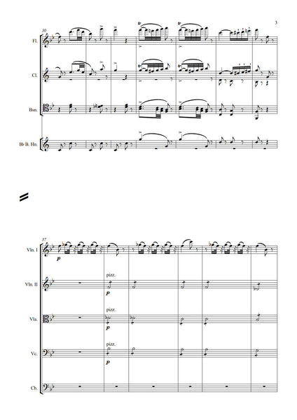 Daniel François Esprit Auber: Le Concert a la cour - Overture (NXP058)