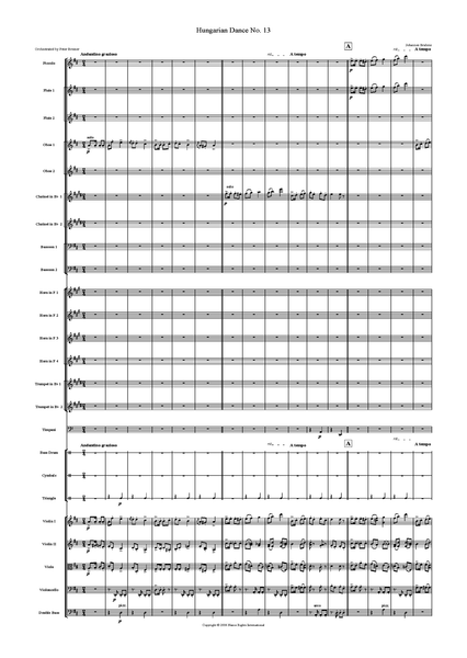 Johannes Brahms: Hungarian Dances No. 13 – arranged by Peter Breiner (PB014)